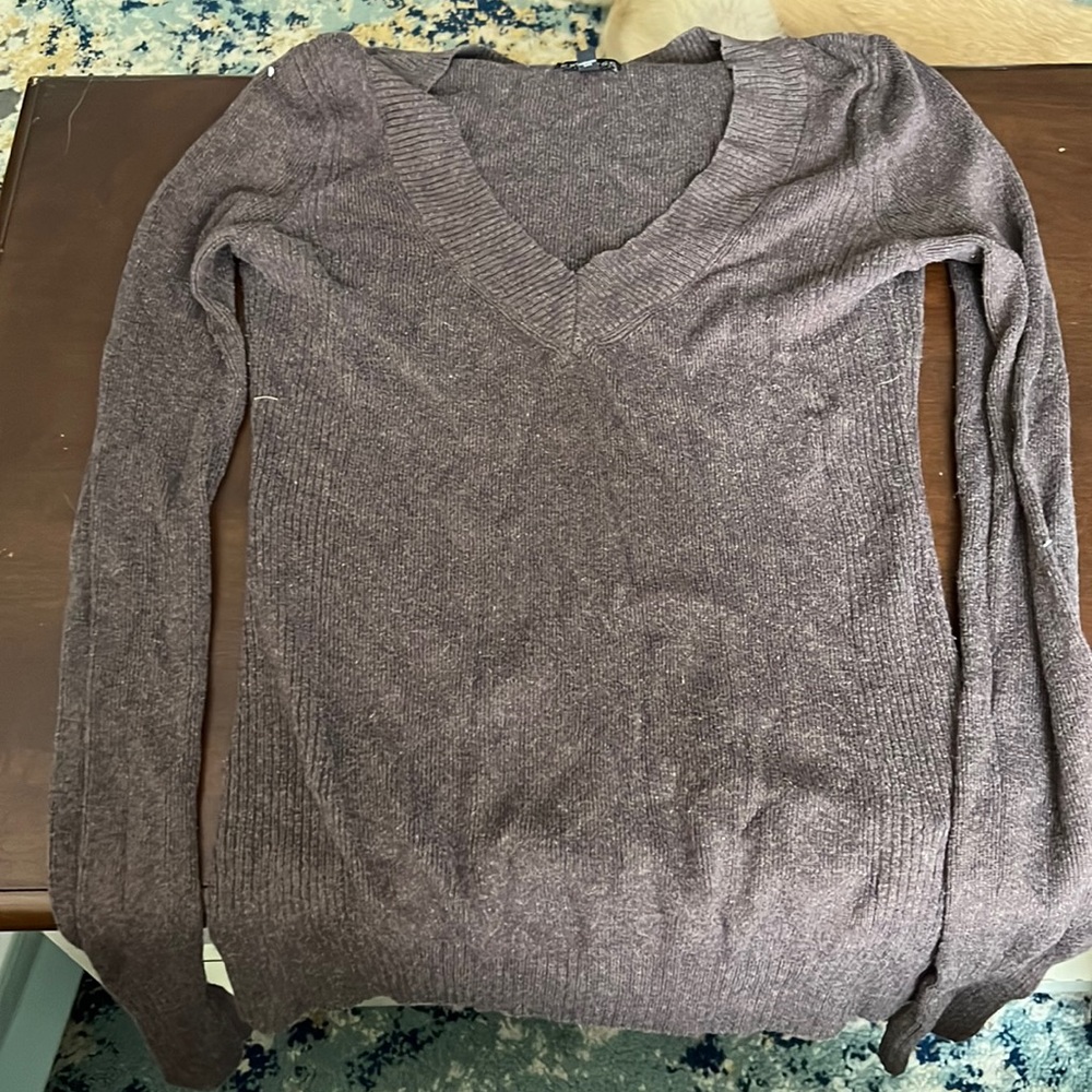 Express long sleeve V-neck sweater